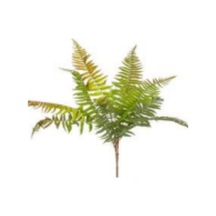 Yapay Bitki Fujer/eğrelti Otu Kızıl/yeşil 75 Cm Çok Renkli
