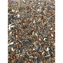 Forpus Papağanı Yemi Özel Karışım Zengin İçerik 5 KG