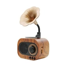 B5 Nostaljik Mini Radyo Gramofon Bluetooth/Radyo/Usb/Sd