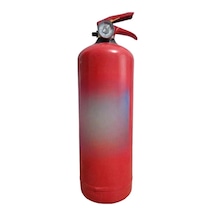 1 Kg Kuru Kimyevi Tozlu