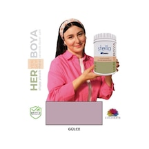 Stella Serisi Yeni Nesil Yüzey Dönüşüm Boyası - Gülce Diğer