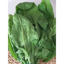 Yerli Sarmalık Yaprak Pancar Pazı Tohumu, 100 Adet Paket