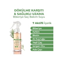 Saç Dökülme Karşıtı, Hızlı Saç Uzamasına Yardımcı Vegan Biberiye Bakım Suyu, 7 Doğal Aktif İçeren, Paraben Ve Sülfat İçermez, Ph Seviyesini Korur, Saç Tellerini Güçlendirici Saç Bakım Suyu, 200ml
