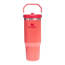 Stanley The Iceflow Flip Straw Pipetli Termos Bardak 0,89 Lt Çok Renkli