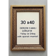 30 X 40 Fotograf Resim Belge Serifika Diploma Çerçevesi Gerçek Camlı 009