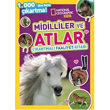 Kids Midilliler Ve Atlar Çıkartmalı Faaliyet Kitabı Çok Renkli