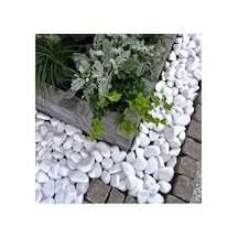 Tr Beyaz Dolomit Taş 10 Kg 4-6 Cm Dekorotif Bahçe Süs Taşı Loche No,67554443355