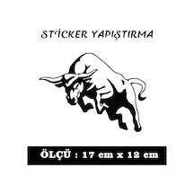 Boğa Bull Araba Etiket Sticker - 2 Adet