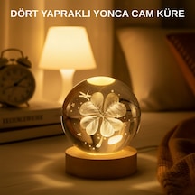 Usb - 434 - Bağlantılı Yonca Bitkili Cam Küre Ahşap Altlıklı - Matxzngz - Dekoratif Lamba