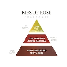 Kiss Of Rose Kokulu Vegan Teneke Mum 50 x 22