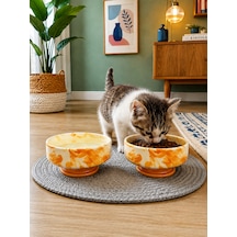 Mama Kabı Kedi Ve Köpek Ayaklı 2 Li Seramik Doğal Mama Ve Su Kabı Soft Sarı Marble