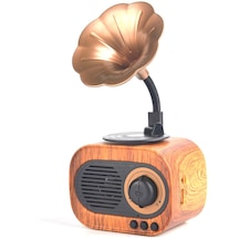 B5 Nostaljik Mini Radyo Gramofon Bluetooth Hoparlör