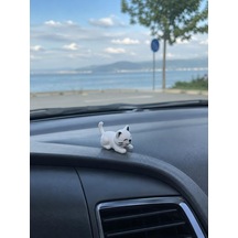 Diğer