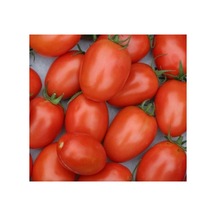 Salçalık Domates Tohumu - 3 Gram