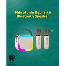 İki Mikrofonlu Renkli Led Işıklı Karaoke Cihazı - Lisinya