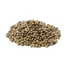 Kuşlar için Kenevir Tohumu Cedene 500 Gr