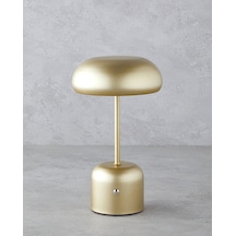 Blanca Dekoratif Aydınlatma 28 Cm Gold