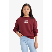 Bordo