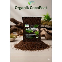 Cocopeat Hindistan Cevizi Torfu Sülük, Salyangoz, Sürüngen, Amfibi -kemirgen Yatak Malzemesi