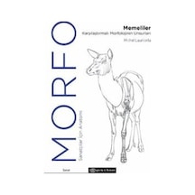 Morfo: Memeliler Karşılaştırmalı Morfolojinin Unsurları - Sanatçılar İçin Anatomi Epsilon Yayınevi Michel Lauricella