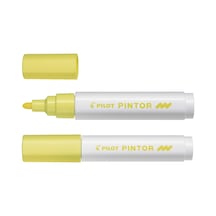 Pintor M - Pastel Sarı Çok Renkli