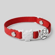 Charmlı Kedi Boyun Tasması Safety Click Kırmızı
