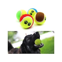Pati Desenli 4'lü Tenis Topu Köpek Oyuncağı