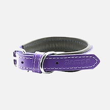 Zampa Köpek Boyun Tasması Mor 47 Cm