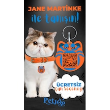 Petjoo 5.Jane Martinke Mavi-Turuncu Qr'lı Kedi Künyesi