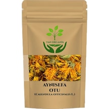Aynısafa Bitkisi 100gr 21821726