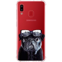 Samsung Galaxy A20 Uyumlu Köpek 3 Baskılı Şeffaf Köşe Korumalı Antişok Kılıf