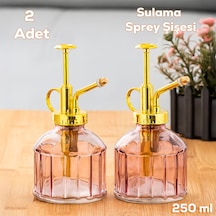 Perotti 15733 2li Mor Vintage Cam Bitki Sulama Şişesi Sulama Kabı