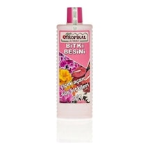 Tropikal Besin Bitkisi 6 Adet Çiçek Açtıran 1000 Ml
