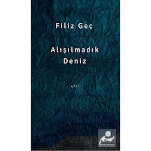 Aşılmadık Deniz - Filiz Geç - Şule Yayınları