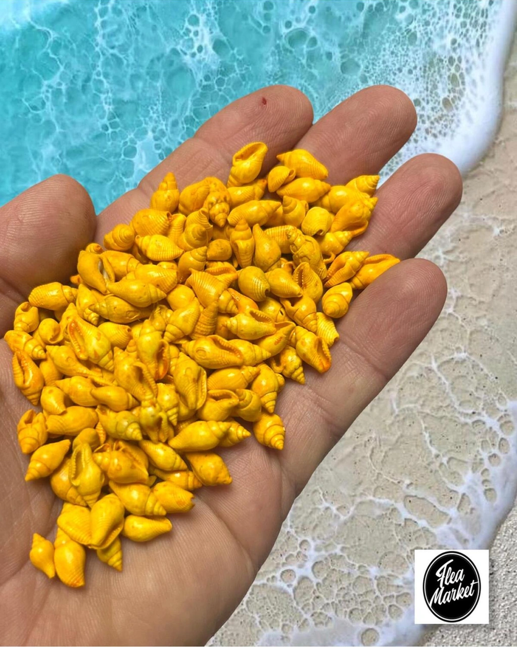 Gerçek Deniz Kabuğu - Nassa Shell - 100 Adet - Orange