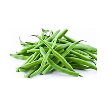 Geleneksel Ata Tohumları 40 Günlük Sazova Fasülye Tohumu 20 Tohum