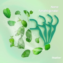 Stopever Fresh & Gliss Kürdanlı Diş İpi 50 Adet Nane Aromalı Diş Arası Temizliği, Ağız Hijyeni Ve Günlük Kullanım İçin İdeal Plastik Kutulu Ve Taşıma Kılıflı Hediyeli