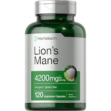 Horbäach Lions Mane Mushroom Extract 4200 Mg 120 Caps Aromasız