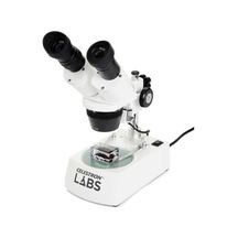 Celestron Labs S10-60 Stereo Mikroskop