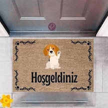 Kapı Önü Paspası Dekoratif Dijital Baskı Hoşgeldiniz P-2417 Renkli