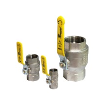 Türkoğlu Küresel Doğalgaz 1" Doğalgaz Vanası