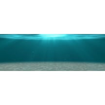 Kanki Pet  Akvaryum Arka Fon Yapıştırma  185x65 cm KP18565006