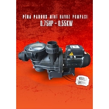 Pina Pardus Mini Havuz Pompası 75m 0,55kw - 0,75hp 50mm 220v Ön