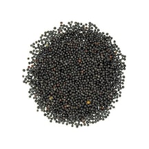Rapiska Tohumu Kanola Tohumu Şalgam Tohumu 1 Kg