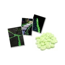 Fosforlu Işık Saçan Bahçe Saksı Süsü Çakıl Taşı 25 Adet