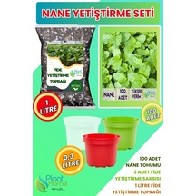 Nane Yetiştirme Seti Nane Tohumu + Cocopeat & Perlit Katkılı Fide Toprağı + 3 Lü Drenajlı Saksı