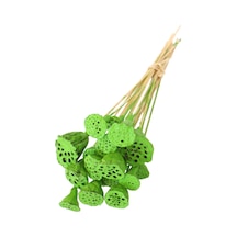 20 Adet Bambu Şiş Saplı Mini Lotus Plant Retro Yeşil Gerçek Lotus