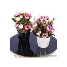 Yapay Çiçek Sitesi Plastik Saksıda Yapay Ranunkulus Tanzimi 2'li Set 30 Cm Krem Pembe - Pudra Pembe