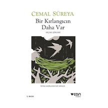 Bir Kırlangıcın Daha Var - Yqbx-647958