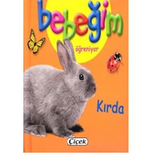 Bebeğim Öğreniyor - Kırda- Çiçek Yayıncılık